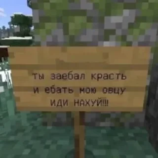🐑