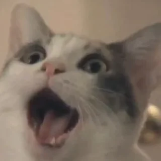 😲