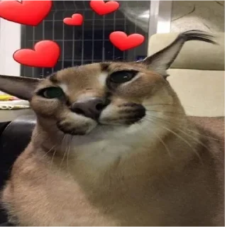 🥰