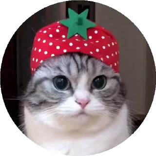 🍓