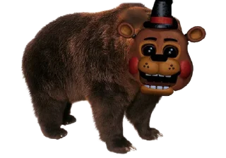 🐻