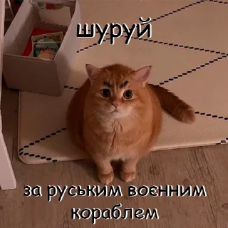 😡