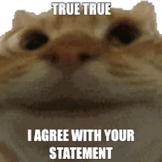 👍