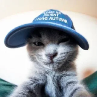 😎