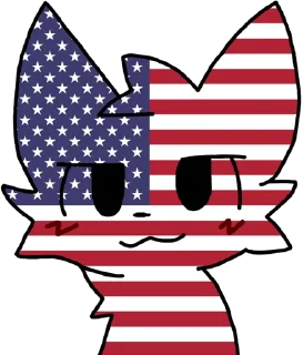 🇺🇸
