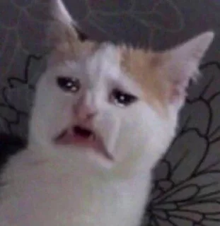 😭