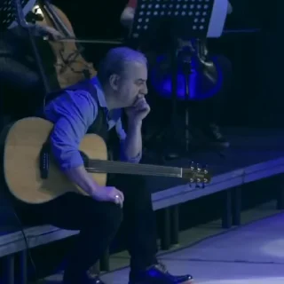 🎸