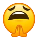 🙏