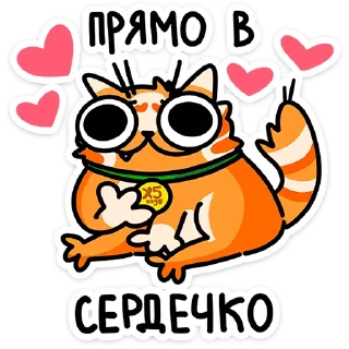 ⭐