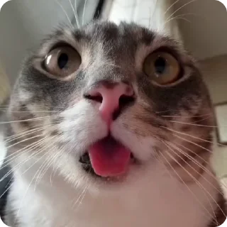 🤯