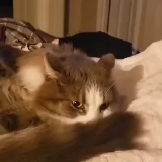🙄