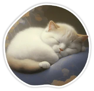 💤