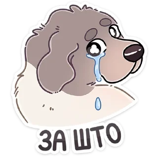 😭