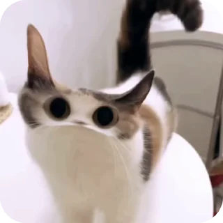 👀