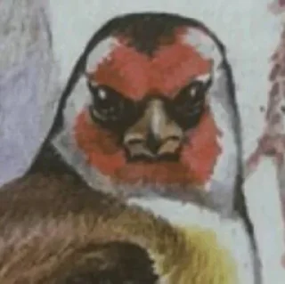 🧐