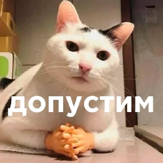 😑