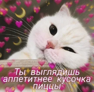 😻