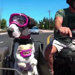 😁