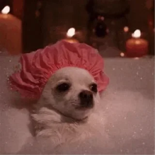 😏