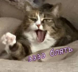 Тю блин: Зверюшки by @stickersblin
