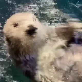 👋