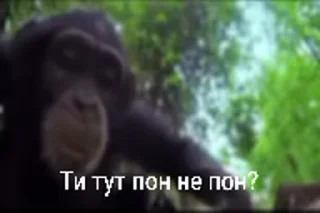 🧐