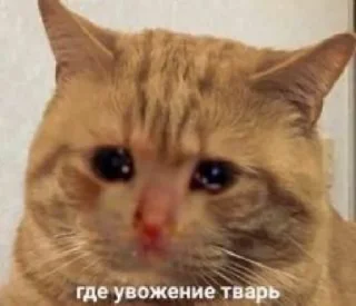 🥲
