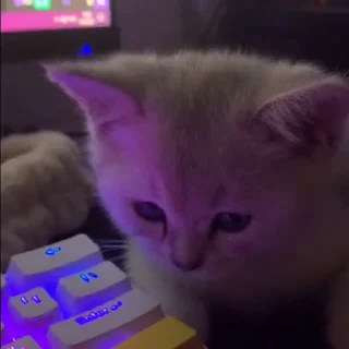 👀