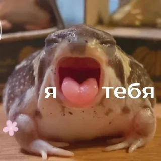 💖