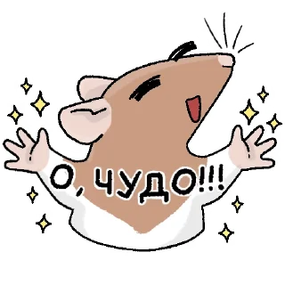 Будни крысовода