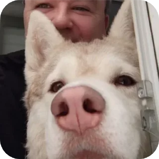 👍