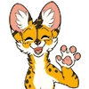Cianiati the ScribbleServal