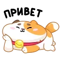 Кот Амур - @stickers_vk