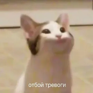 ☺️