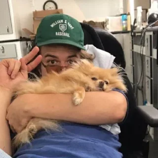 😼