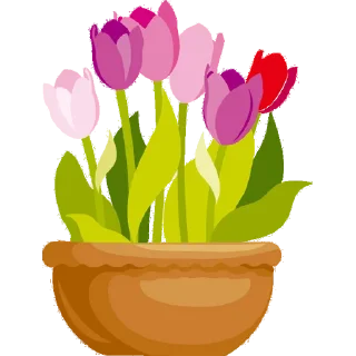 💐