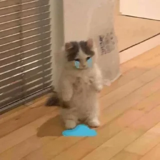 😭