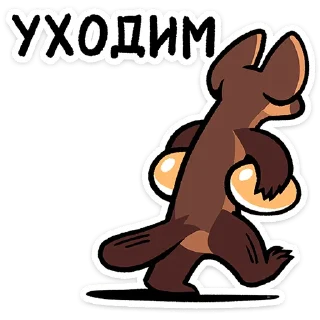 ⭐