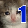 Crying Cat Deluxe
