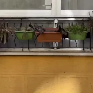 😴