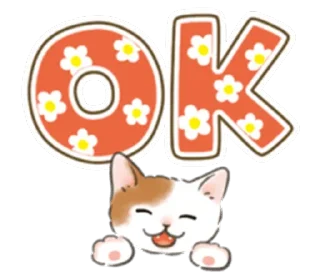 🐱