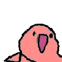 🦜