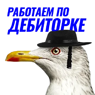 ✡️
