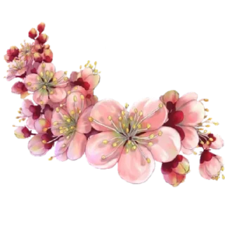 🌸