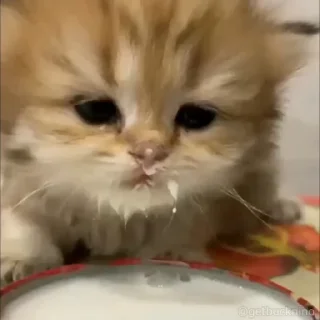 🙂