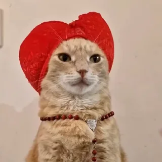 👑