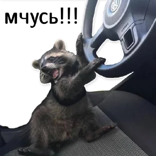 🏃‍♀️