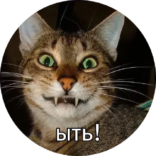 😆