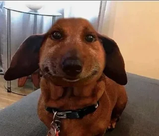 🧐