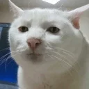 😒